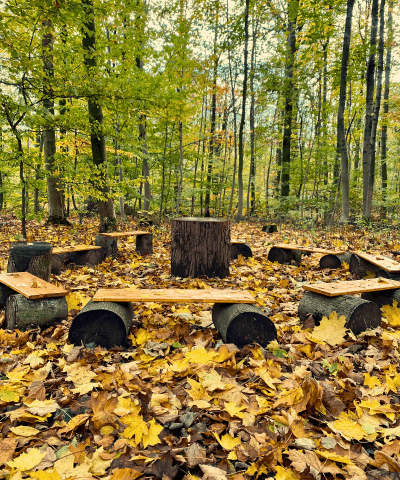 waldkindergarten bad eilsen 2